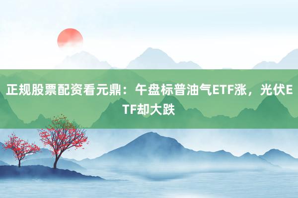 正规股票配资看元鼎：午盘标普油气ETF涨，光伏ETF却大跌