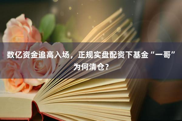 数亿资金追高入场，正规实盘配资下基金“一哥”为何清仓？