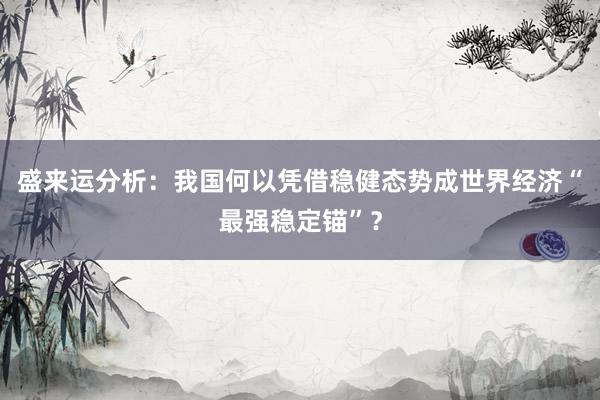 盛来运分析：我国何以凭借稳健态势成世界经济“最强稳定锚”？