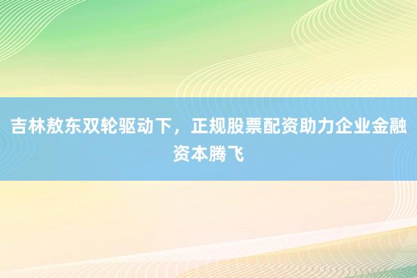 吉林敖东双轮驱动下，正规股票配资助力企业金融资本腾飞