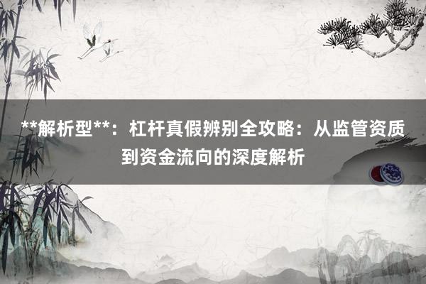 **解析型**：杠杆真假辨别全攻略：从监管资质到资金流向的深度解析