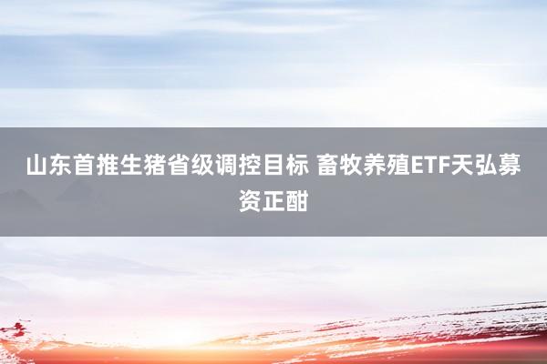 山东首推生猪省级调控目标 畜牧养殖ETF天弘募资正酣