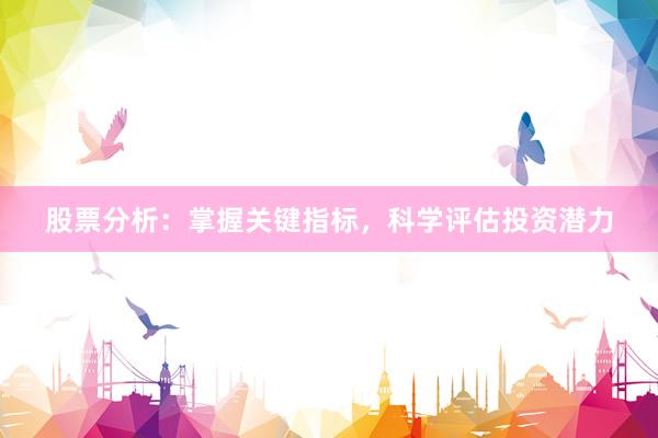 股票分析：掌握关键指标，科学评估投资潜力