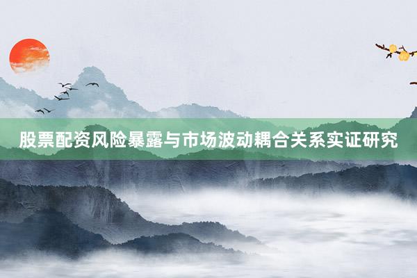 股票配资风险暴露与市场波动耦合关系实证研究