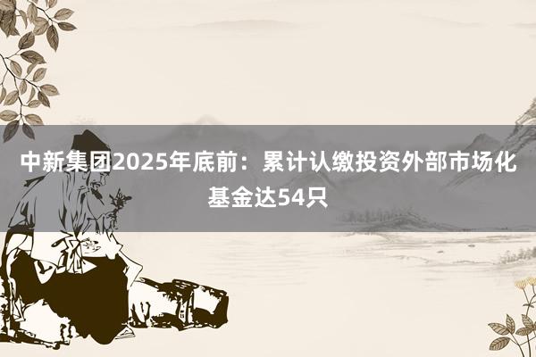 中新集团2025年底前:累计认缴投资外部市场化基金达54只
