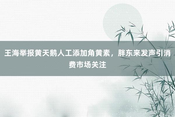 王海举报黄天鹅人工添加角黄素，胖东来发声引消费市场关注