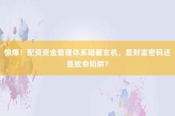惊爆！配资资金管理体系暗藏玄机，是财富密码还是致命陷阱？