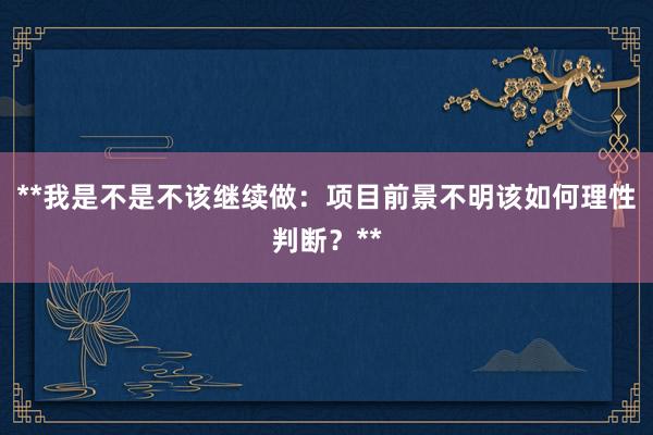 **我是不是不该继续做：项目前景不明该如何理性判断？**