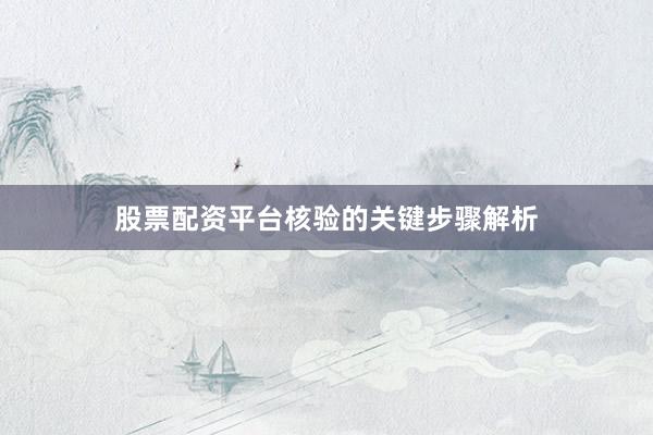 股票配资平台核验的关键步骤解析