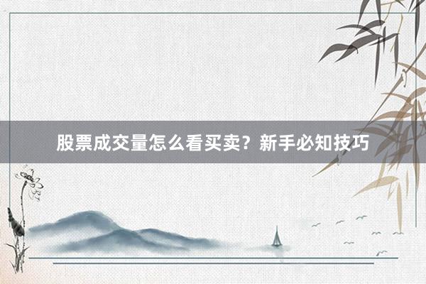 股票成交量怎么看买卖？新手必知技巧